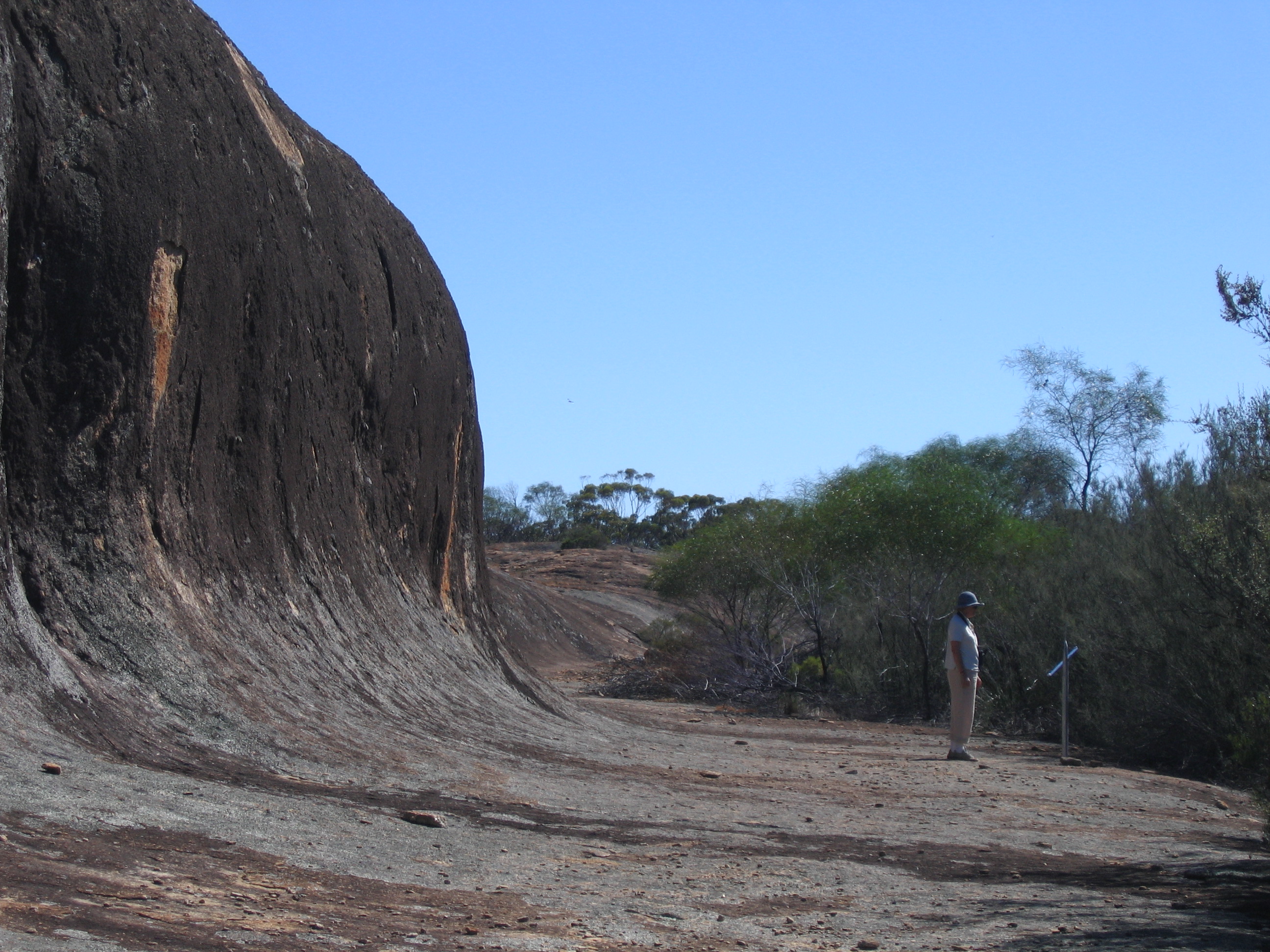 Totadgin Conservation Park