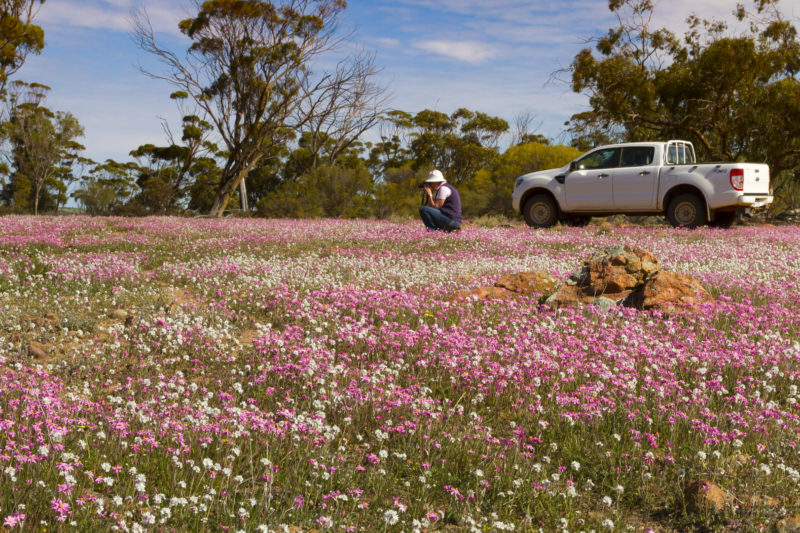 wheatbelt-way-121